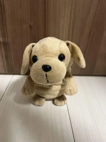 코에마네 강아지 새상품급