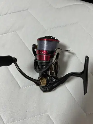 다이와 발리스틱 FW DAIWA BALLISTIC 2500S-XH