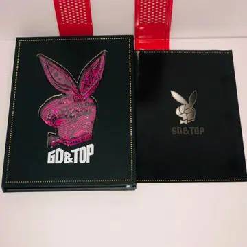 BIGBANG GD & TOP 1집 Vol.1 한국판 CD 핑크 버전