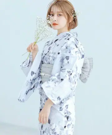 디타 거품의 항구색 디타