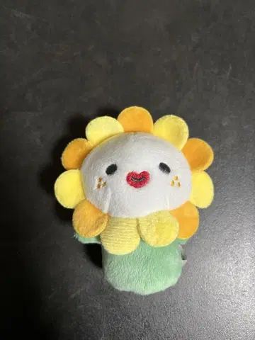제오 참 손가락 인형 Bira JO1