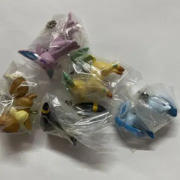 포켓몬 이브이 진화계 스트랩 5개 세트