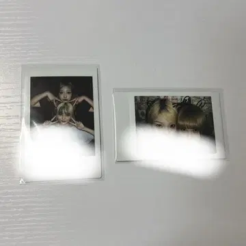 HAZE 폴라로이드 꽃 주리 스즈카 카테