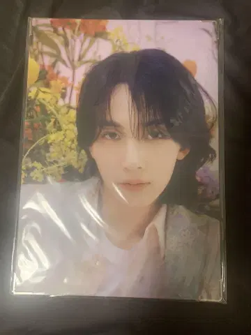 SEVENTEEN ALWAYS YOURS 프리미엄 사진 정한