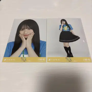 노기자카46 한여름의 전국 투어 2025 카와사키 벚꽃