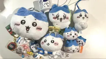 하치와레 정리 매입 치이카와 (먼작귀)