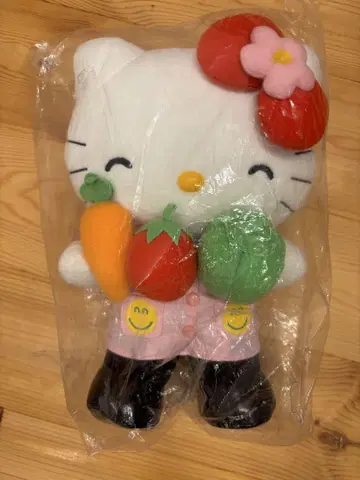 HELLO KITTY 키티 켄린도 관리 영양사 봉제 인형 L 사이즈 야채