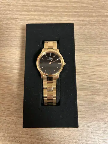 다니엘 웰링턴 ICONIC LINK 32mm 손목시계
