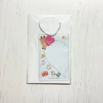 RIIZE 성찬 랜덤 토이 포토 카드 슬리브 랜토이