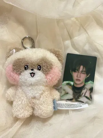 ZEROBASEONE zeroni hanini 장하오 세트