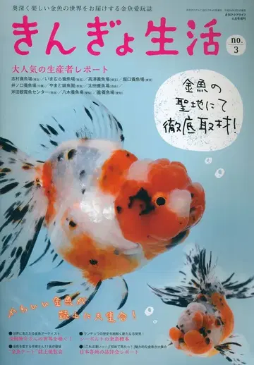 금붕어 생활 3