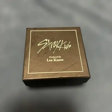 straykids Leeknow 반지
