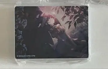 아사히나 마후유 미라지 노블 아트