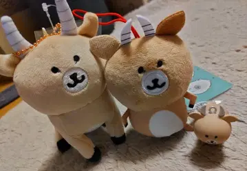 사면 더 빠르다 임팔라 3개 세트 나가노의 곰, 농담곰보다