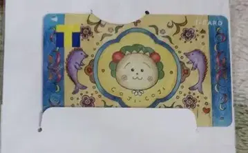 코지코지 T 포인트 카드