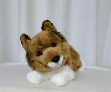 레가로 REGALO 봉제 인형 양몰이 개