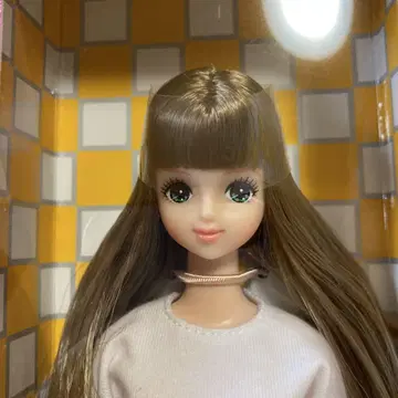 리카짱 캐슬 캐슬 컬렉션 34 미라이 모델 NO.11497