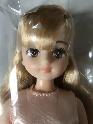 리카짱 캐슬 오타노시미 인형 팔레트 F