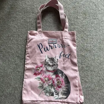 미사용 캐스키드슨 천 백 고양이