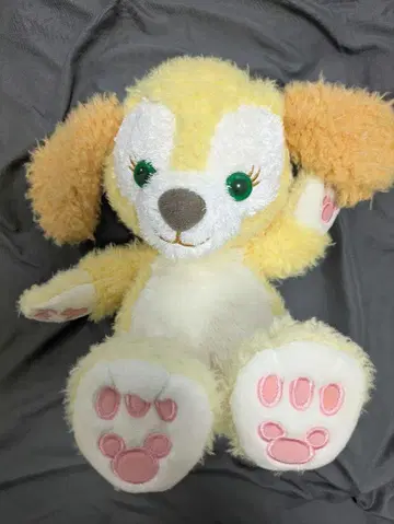 쿠키 앤 봉제 인형