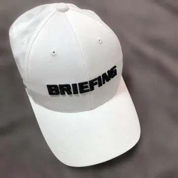 BRIEFING 화이트 캡