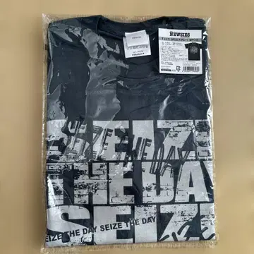 NEWSIES 티셔츠 M 사이즈 그레이