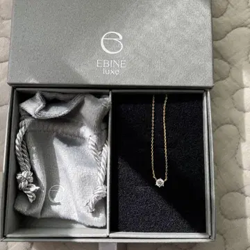 EBINE luxe 심플 목걸이