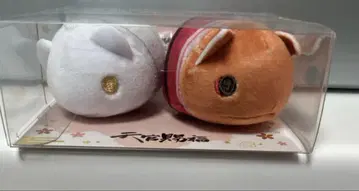 천관사복 모치후레