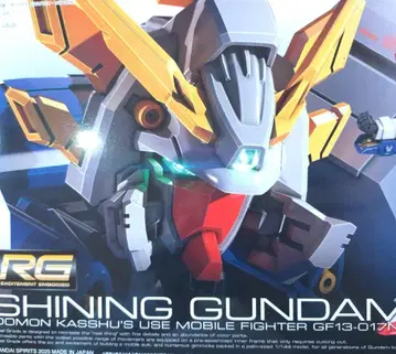 RG 샤이닝 건담 미조립 1/144 스케일 기동무투전 G 건담