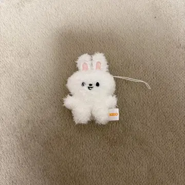 스키즈 리노 leebit SKZOO KEYRING MICRO Ver