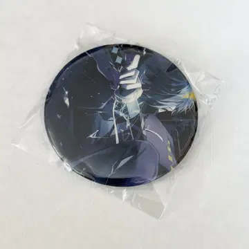 crazy raccoon VanilLa 생일 BIG 홀로그램 캔뱃지