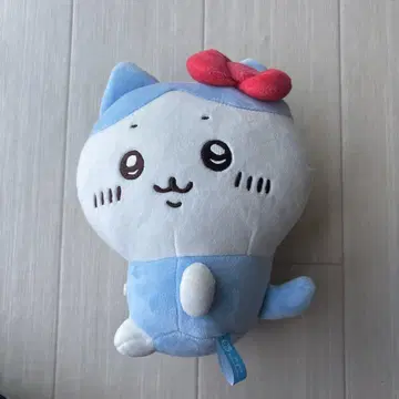 하치와레 키티