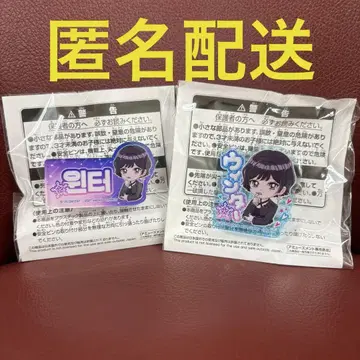 aespa 이름 아크릴 배지 윈터 에스파 남코 2종 III