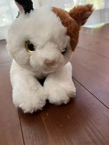 산 레몬 봉제 인형 삼색 고양이