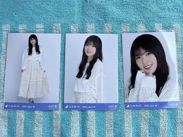 노기자카46 브로마이드 메쉬 니트 오가와 아야 컴프