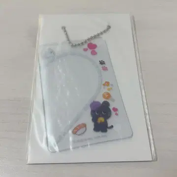 RIIZE 랜덤 토이 원빈 WONBIN 포토 카드 슬리브 랜토이