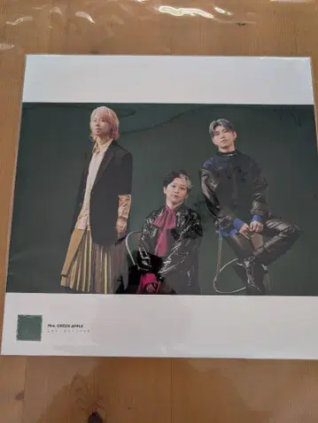 미세스 그린 애플 10 베스트 앨범 혜택 LP 사이즈 사진 포스터