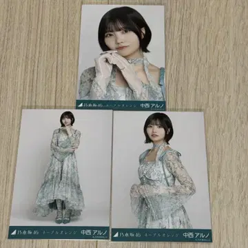네이블 오렌지 나카니시 아르노 컴프