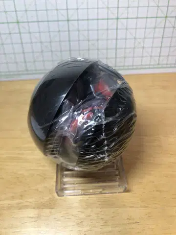 생물대도감 노코기리가자미