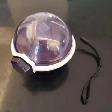 포켓몬 테라스타르 ORB 구형 작동합니다