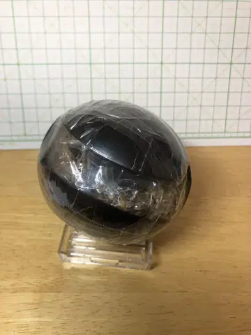 생물대도감 아르마딜로 도마뱀