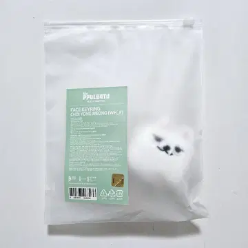 TXT 뿔바투 팝업 페이스 키링 용몽
