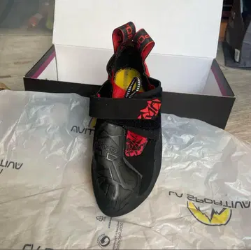 스쿠마 37