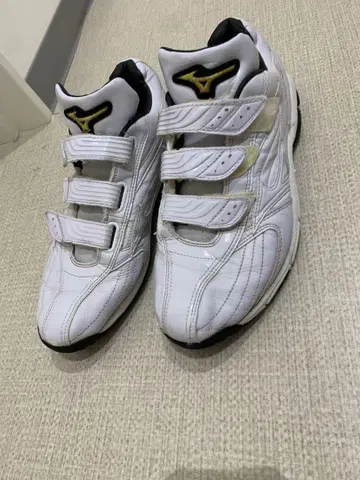 Mizuno Pro 트레이닝 슈즈 화이트 최종 가격 인하