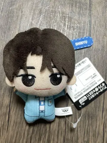 TWS SD 인형 SHINYU (신유) SHINYU 시뉴