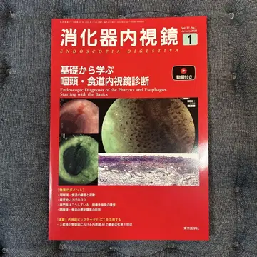 소화기 내시경