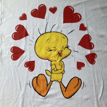 90s FRUIT OF THE LOOM 투이 티 티셔츠 usa