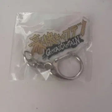 호쾌한 캡틴 아크릴 키링