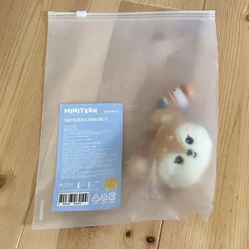 SEVENTEEN 조슈아 MINITEEN 팝업 키링