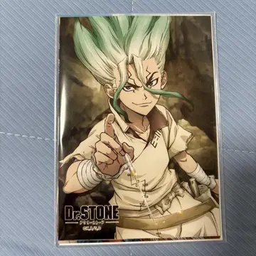 Dr.STONE 점페스 2022 한정판 생 브로마이드